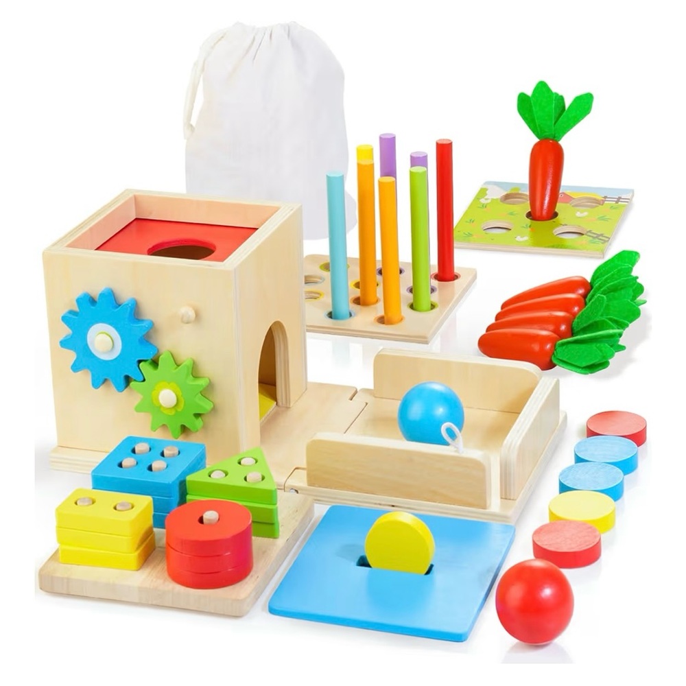 Montessori 8-in-1 Wooden Play Kit